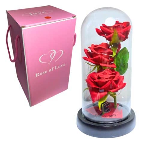 Ellington Gifts presents an everlasting red rose in a glass dome with LED lights, perfect for romantic occasions.