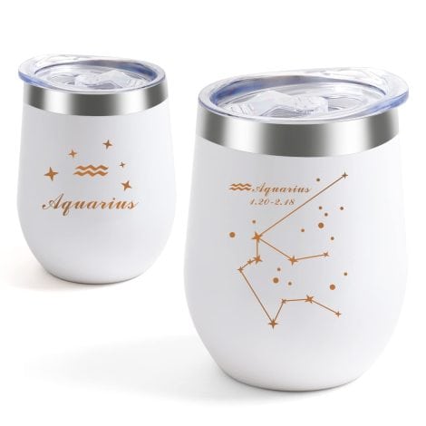 Aquarius-themed stainless steel wine glass, perfect astrology gift for both women and men, with no straw.