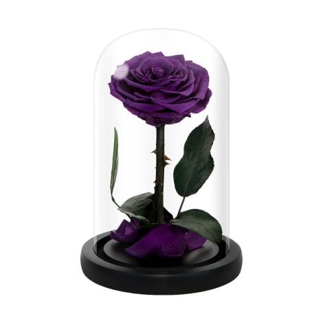 Handcrafted Glass Dome Roses in Purple – Perfect for Valentine’s, Christmas, Mother’s Day, Birthdays, Anniversaries, Weddings, Thanksgiving.