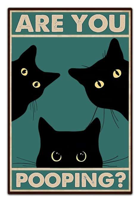 “Quirky Bathroom Wall Decoration – 8 x 12 inches, featuring a humorous Black Cat Are You Pooping sign.”