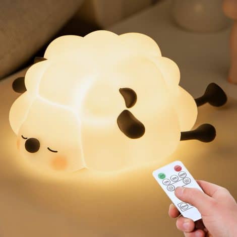 Cute Touch Lamp, Rechargeable Remote Night Light for Kids with Timer, Dimmable Levels – Adorable Gifts for Children.