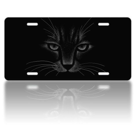 Funny Kitten License Plate Cover – Stainless Steel Cat Car Accessory for US/Canada Standard License Plates.