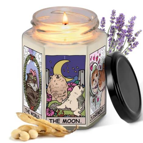 Astrology Witchy & Tarot Cat Gifts Candle: The perfect Christmas or birthday gift for female cat lovers, friends, and family.