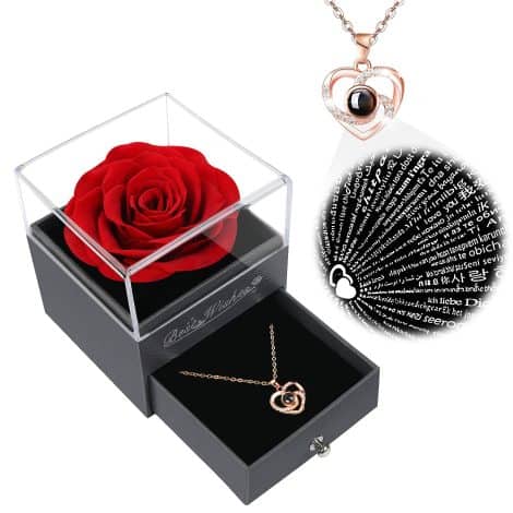 GOMALL’s Gift Set: Preserved Red Rose with 100 Language Necklace for Wife, Mom, or Her, perfect for Christmas or Anniversary.