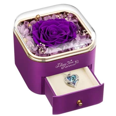 NEWNOVE Preserved Purple Real Rose with matching necklace – a perfect gift for women on Christmas, anniversaries, or birthdays.