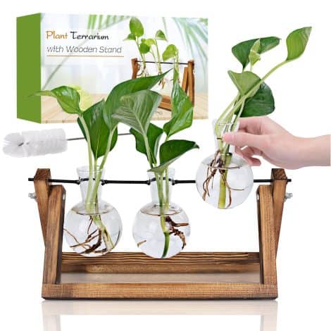 The RENMXJ Plant Propagation Station: A stylish planter perfect for women’s gifts, home office, and garden decor.