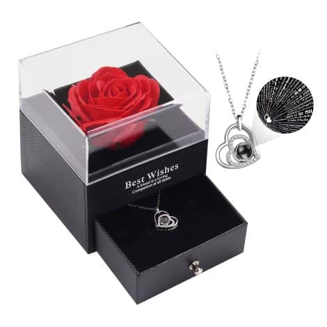 WOKEISE Rose Christmas Gifts: Eternal Love Necklace with “I Love You” in 100 Languages. Perfect for Her.