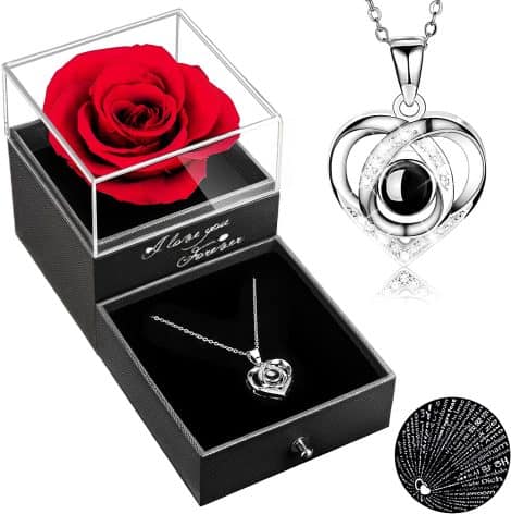 Christmas Gift Set: Forever Love Rose and I Love You Necklace for Her – Perfect for any occasion!