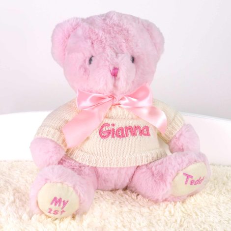 Customized Baby Gift – First Teddy Bear for Baby – 12 Inch (Pink) by DIBSIES