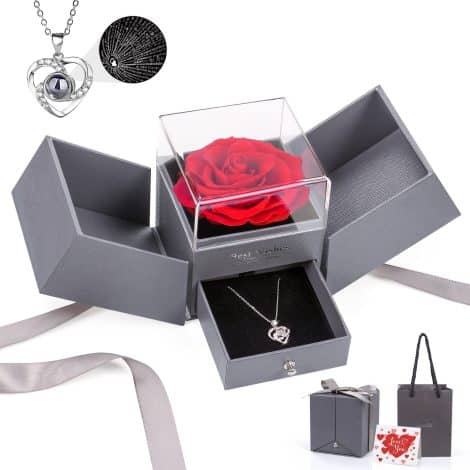 Digi4U Eternal Love Rose Sets with I Love You Necklace in 100 Languages, perfect for Birthday and Anniversary gifts for your girlfriend.