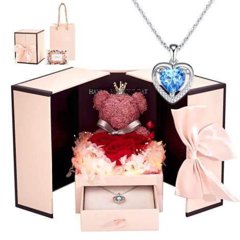 Preserved Red Rose Moss Bear Gift Set – Includes LED Light and Sterling Silver Heart Necklace. Perfect for women on special occasions.