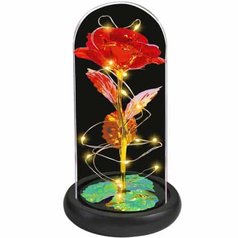 Red Jeekgsk Lighted Glass Dome with Roses: The Perfect Gift for Women on Birthdays, Christmas, or Valentine’s Day.