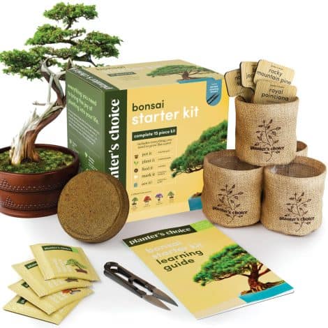 “Bonsai Starter Kit – Perfect gardening gift for anyone! Grow your own bonsai tree with this unique DIY hobby kit.”