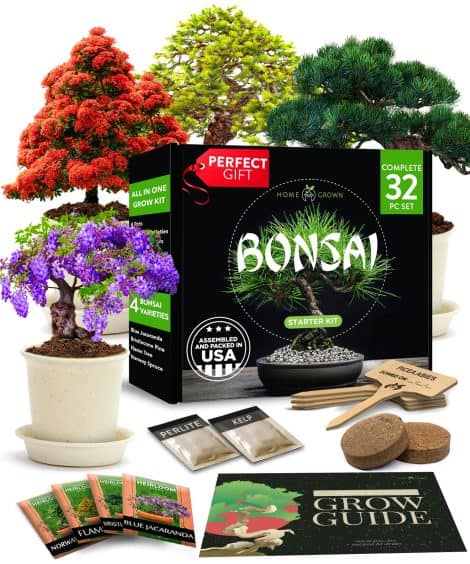 Grow Your Own Bonsai Tree Kit: Complete 4-tree Starter Set, Ideal Japanese Gift for Moms, Women, Men. Perfect for Beginners & Gardeners.