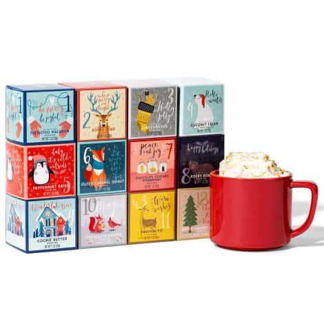 Delightful Gourmet, 12 Days of Christmas Hot Chocolate Gift Set, with flavors like Rocky Road, Cookies ‘n’ Butter, and Pumpkin Pie. Set of 12.