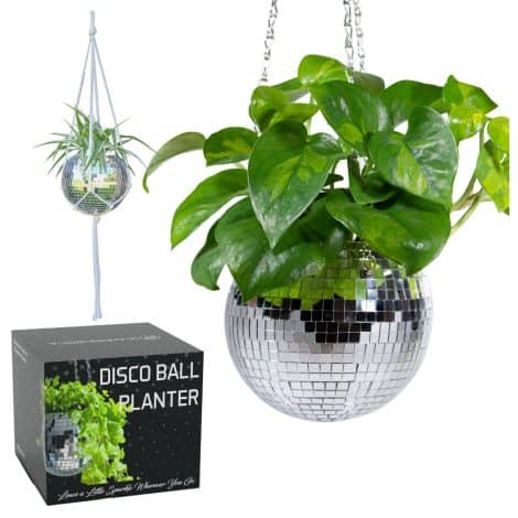 Disco Ball Planter Package: Includes chain, hanger, stand, self-watering insert. Perfect for your desk or hanging plants!