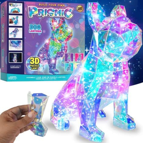 Create your own 3D light with the PURPLE LADYBUG Prismic, a unique Christmas gift for dog-loving girls.