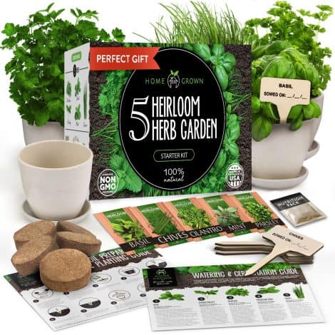 Get the ultimate indoor herb garden kit, a perfect Christmas gift for gardeners of any gender.