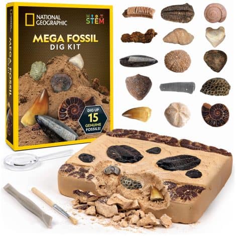 NATIONAL GEOGRAPHIC Ultimate Fossil Dig Kit – Unearth 15 Real Prehistoric Fossils, Educational Toys for Kids, Perfect Science Gift!