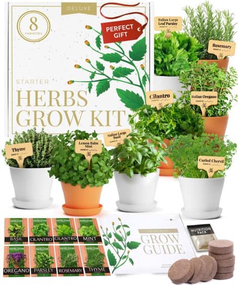 This Christmas, surprise Mom with a special Deluxe Herb Garden Kit – an ideal gift for gardening enthusiasts and cooks.