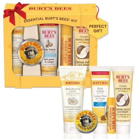 Burt’s Bees Holiday Gifting Set: 5 Small Treats for Your Stockings! Must-Haves for Everyday Pampering- Lip Balm, Cleanser, Moisturizers.