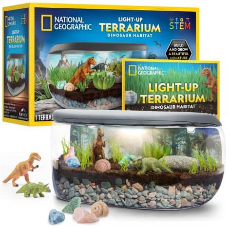 Exclusive National Geographic Dinosaur Habitat Kit: Illuminate, create, and learn with real plants and fossils – perfect for kids.