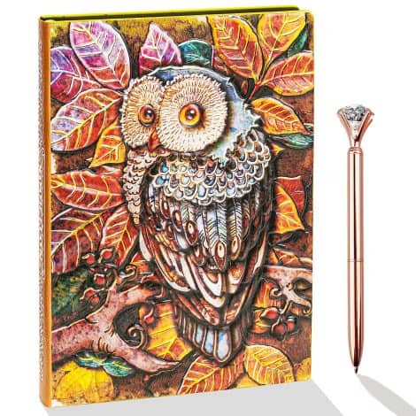 Vintage Owl Leather Journal Notebook Set: Artistic and portable daily writing companion, ideal gift for both men and women.