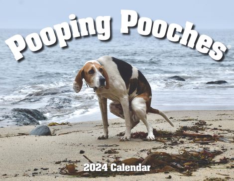 Hilarious Dogs’ “Surprise Pup” Wall Calendar: A fun, must-have gift for laughs and smiles!