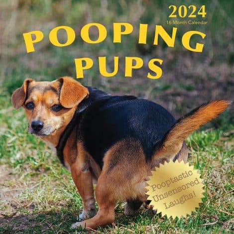 2024 Hangable Wall Calendar featuring adorable dogs caught in hilarious bathroom moments – perfect gift for laughs!